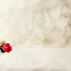 持ち込み